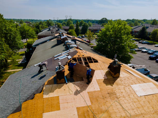 24/7 Emergency Roof Inspection experts in Ward, CO
